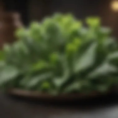 Nutrient-Dense Leafy Greens Leafy greens promoting nutrient density