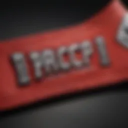 Close-up of powerlifting straps showcasing their durable stitching