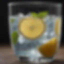 A refreshing glass of water with lemon slices and mint