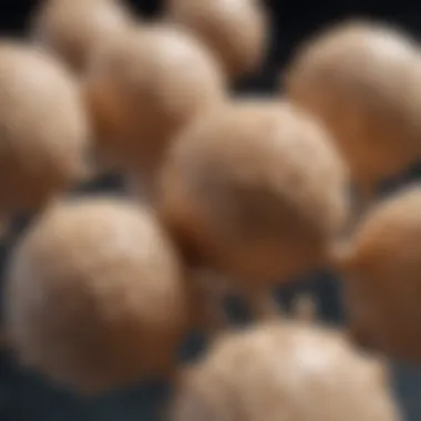Casein Protein Molecules A close-up of casein protein molecules