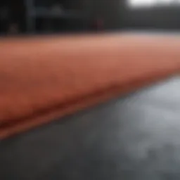 Durability comparison between fitness mats and carpet