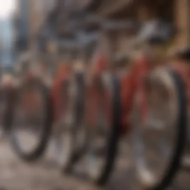 Variety of Affordable Bicycles Different types of bicycles lined up