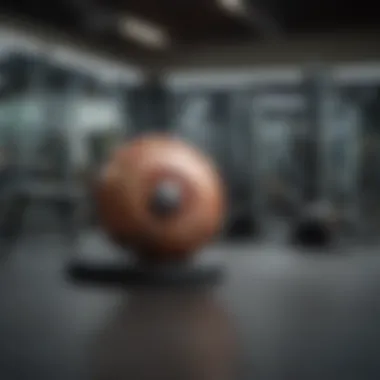 Nautilus Free Weights in a Professional Gym A well-equipped gym setting highlighting Nautilus free weights in use.