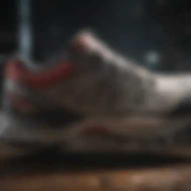 Comfort Features of Salomon Ortholite Footwear Comfort features of Salomon Ortholite footwear