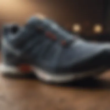 Materials Used in Salomon Ortholite Shoes Materials used in Salomon Ortholite shoes