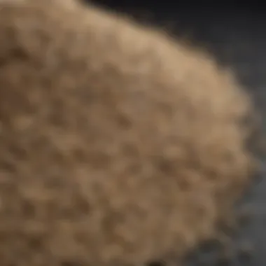 Nutritional Richness of Hemp Seeds A close-up of hemp seeds showcasing their rich texture