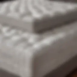 Overview of Tuft & Needle mattress topper showcasing its sleek design