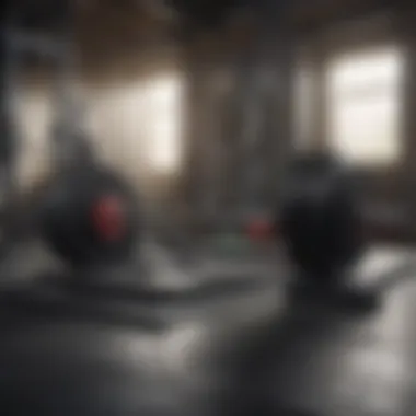 Virtual gym environment showcasing weight lifting equipment