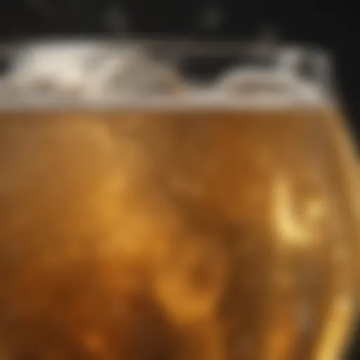 Close-up of a light beer with bubbles rising