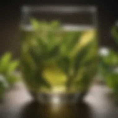 Green Tea: A Powerful Ally in Weight Management Close-up of a glass of green tea with fresh leaves