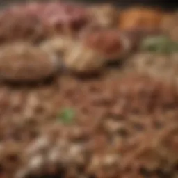 A rich assortment of protein sources including legumes, nuts, and meat.