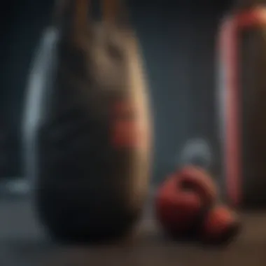 Essential Safety Gear for Punching Bag Training Safety gear used while training with a personal punching bag