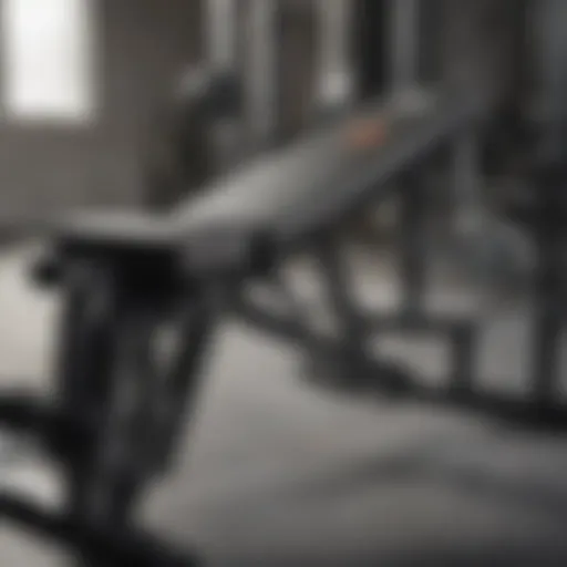 Detailed view of the prime weight bench showcasing its sturdy construction and adjustable features