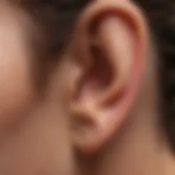 Anatomy of the ear