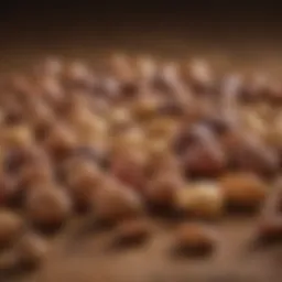 A variety of nuts showcasing their unique textures and colors.