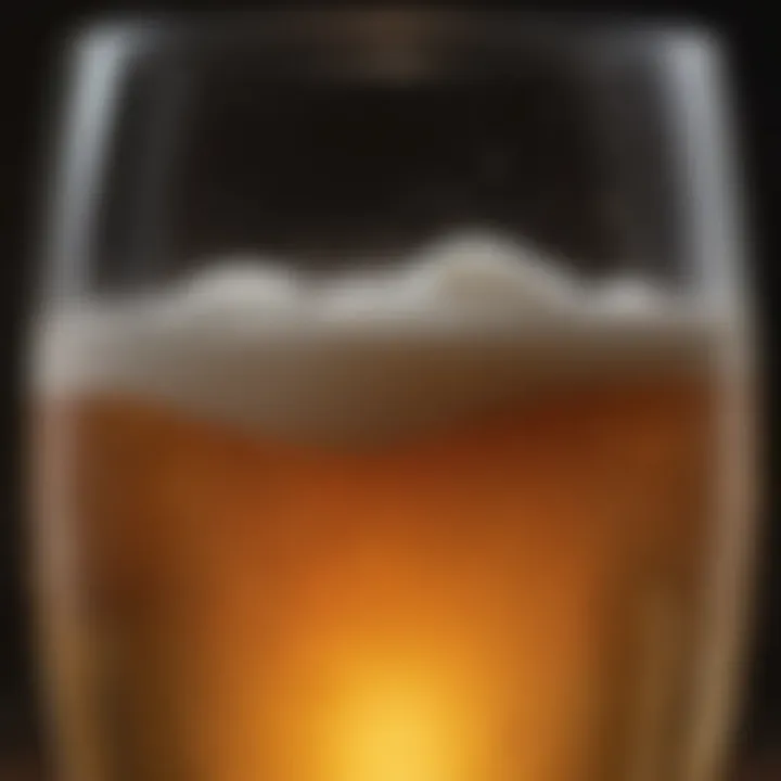 A close-up of a glass of carb-free beer with a frothy head