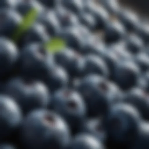 A close-up view of fresh blueberries on a textured surface