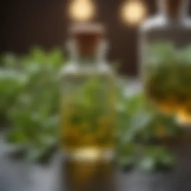 A bottle of oil of oregano with fresh oregano leaves in the background, symbolizing natural remedies