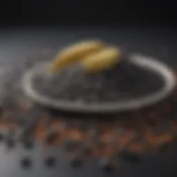 Nutritional composition of black beans showcasing protein content