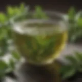 A vibrant cup of green tea surrounded by fresh leaves, symbolizing health and vitality.