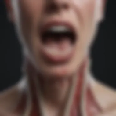 Throat Anatomy and Irritation Visual representation of throat anatomy highlighting irritation