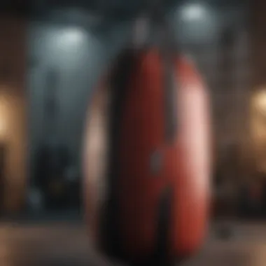 Various types of outdoor heavy punching bags