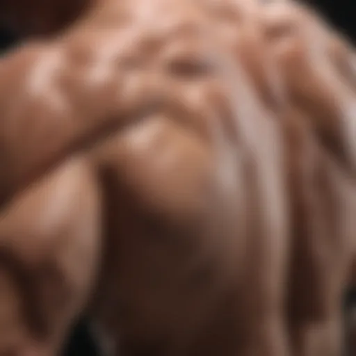 Illustration of muscle fibers undergoing hypertrophy