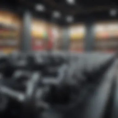 Various types of dumbbells displayed in a fitness store